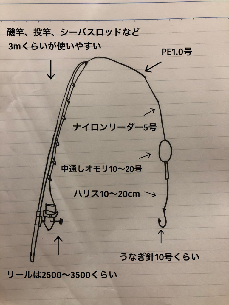 アナゴ を簡単 手軽に投げ釣りで 手軽に狙えて美味い魚 にーよんブログ